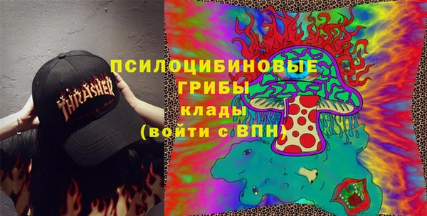 прущие грибы Алексин