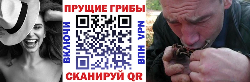 Псилоцибиновые грибы прущие грибы  hydra зеркало  Новая Ладога 